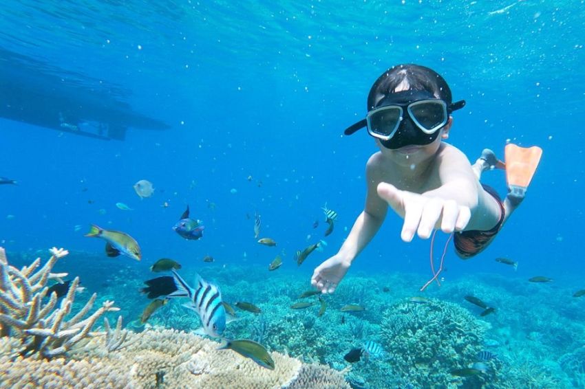 Karimunjawa, Menikmati Surga Keindahan Alam Bawah Laut jawa